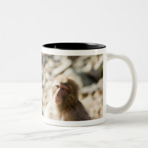 Yamanouchi, Chubu, Nagano Prefecture, Japan 2 Two-Tone Coffee Mug