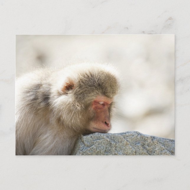 Yamanouchi, Chubu, Nagano Prefecture, Japan Postcard (Front)