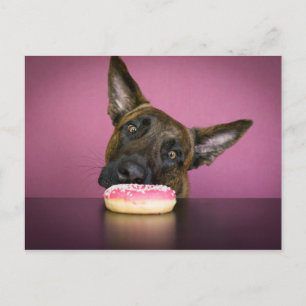 Yamm Yamm Postcard