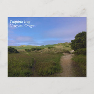 Yaquina Bay, Newport, Oregon Postcard