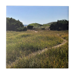 Yaquina Bay State Recreation Site, Newport, Oregon Tile