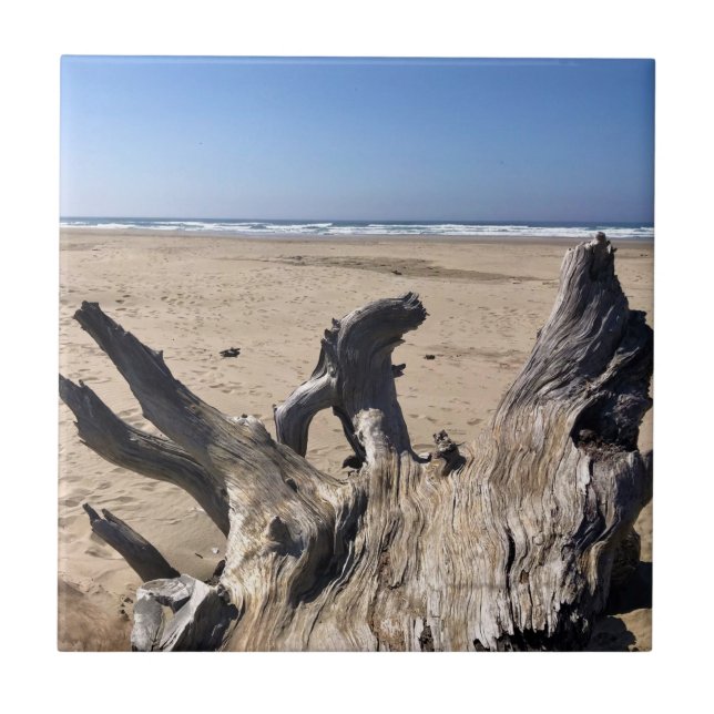 Yaquina Bay State Recreation Site, Newport, Oregon Tile (Front)