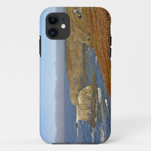 Yaquina Head Lighthouse at Newport Oregon Case-Mate iPhone Case