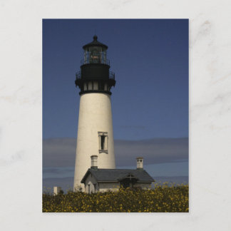 Yaquina Head Lighthouse--NEW Postcard