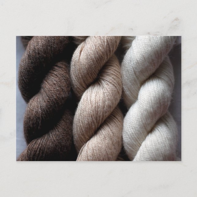 Yarn Brown Beige Cream Coloured Alpaca Postcard (Front)