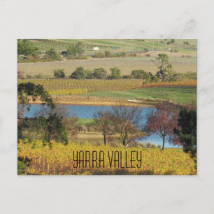 yarra valley vineyard postcard