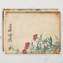 Yarrow flower illustration ephemera