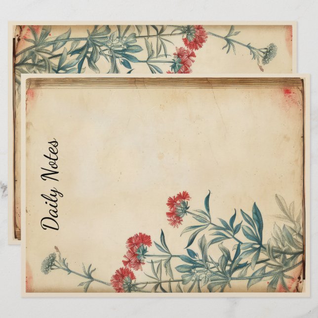 Yarrow flower illustration ephemera custom letterhead (Front/Back)