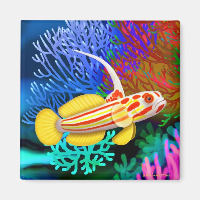 Yasha Hase Shrimp Goby Fish Magnet (Front)