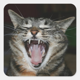 Yawner Sticker