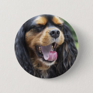 Yawning Cavalier King Charles Spaniel 6 Cm Round Badge