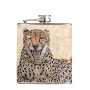 Yawning Cheetah Hip Flask