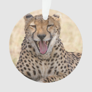 Yawning Cheetah Ornament