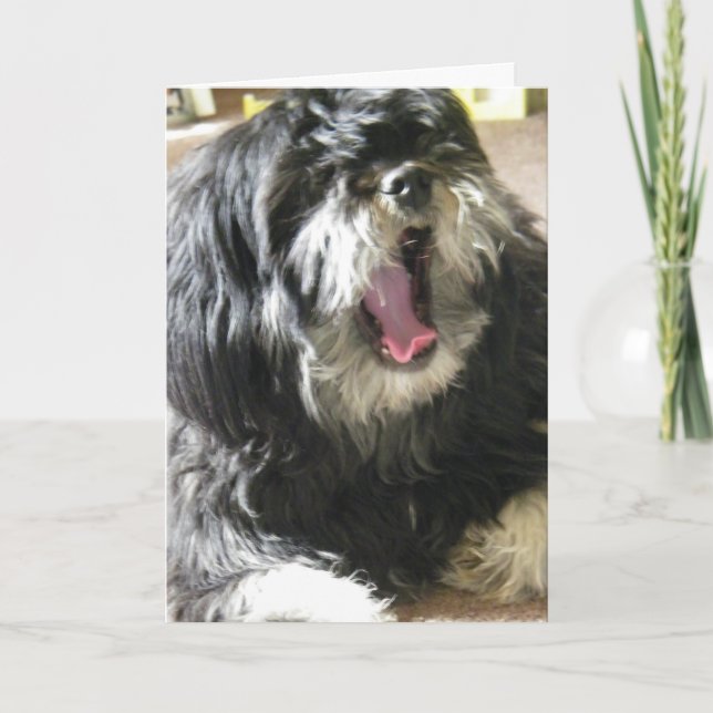 YAWNING CUZ I'M BORED 40th BIRTHDAY Card (Front)