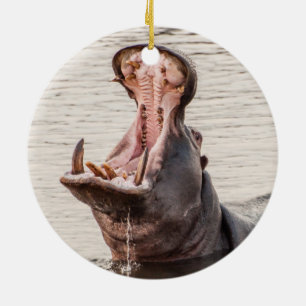 Yawning Hippo Ceramic Tree Decoration