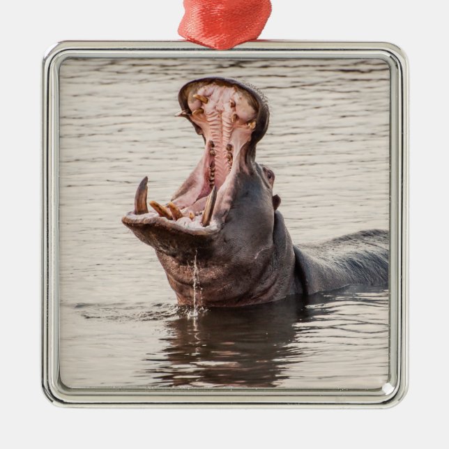 Yawning Hippo Metal Tree Decoration (Front)