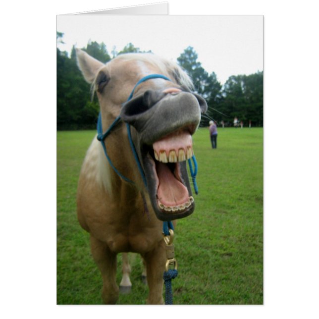 Yawning Horse (Front)