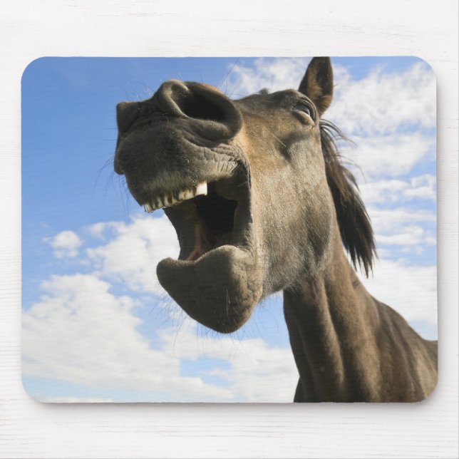 Yawning horse mouse pad (Front)