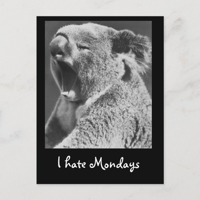 Yawning Koala Postcard (Front)