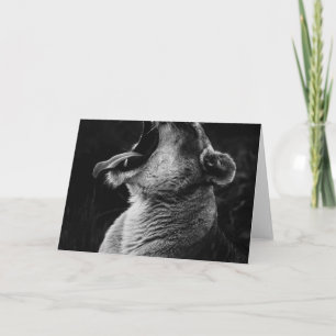 yawning lion card