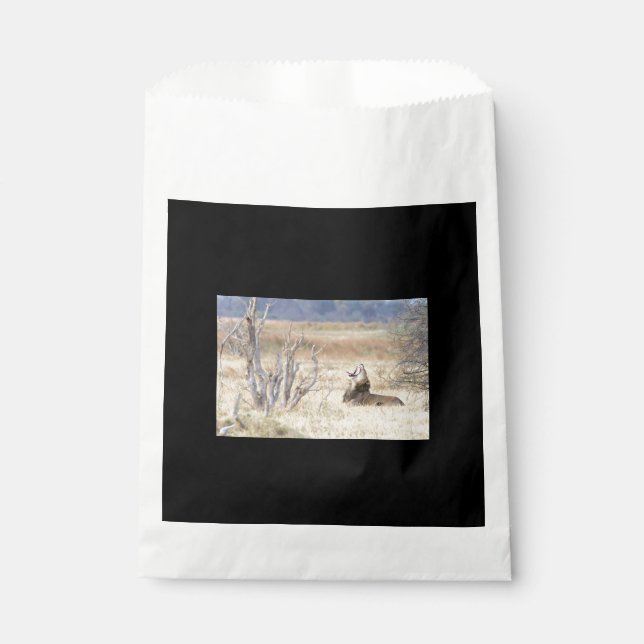 Yawning lion favour bags (Front)