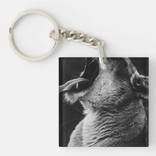 yawning lion key ring