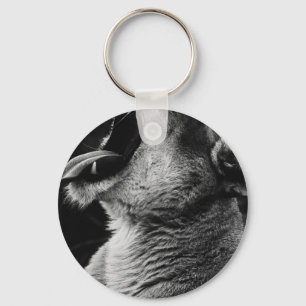 yawning lion key ring