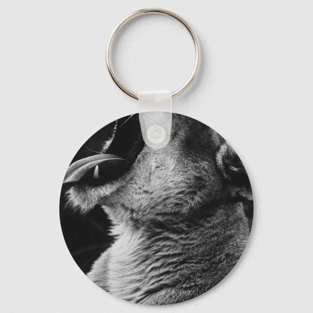 yawning lion key ring (Front)