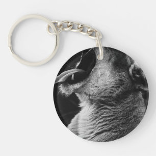 yawning lion key ring