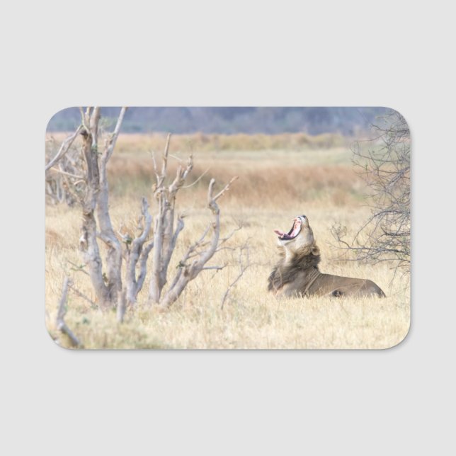 Yawning lion name tag (Front)