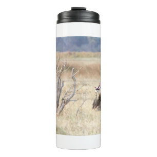 Yawning lion thermal tumbler