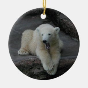 Yawning Polar bear cub Ceramic Tree Decoration