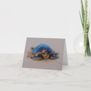 Yawning Sea Turtle Note Card
