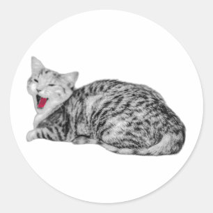 Yawning Tabby Cat Monochrome Sticker with Red Tong
