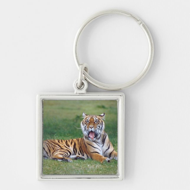 Yawning Tiger Key Ring (Front)