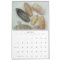 Year Long Seashell Photography Calendar