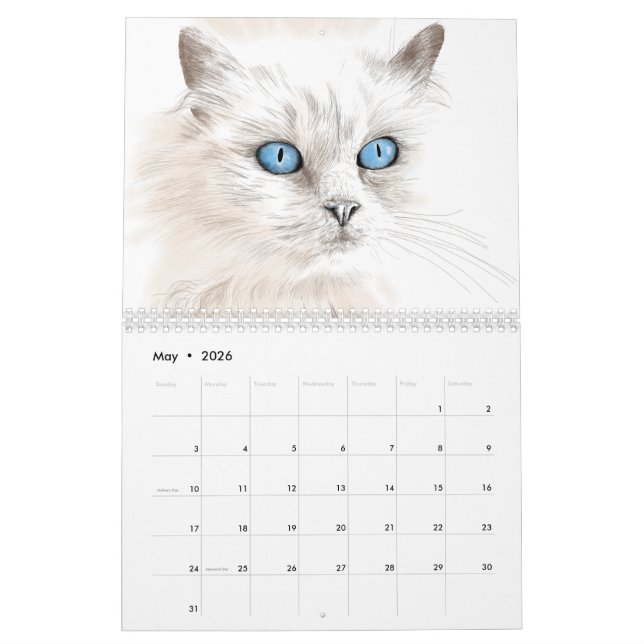 Year of the cat calendar of cat drawings (May 2026)