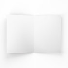 Year Of The Horse 2026 Chinese 