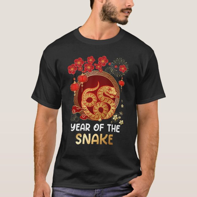 Year Of The Snake 2025 Lunar New Year Chinese New  T-Shirt (Front)