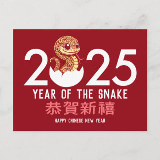 Year of the Snake Chinese Lunar New Year 2025 Holiday Postcard