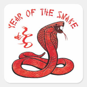 Year Of The Snake Square Sticker