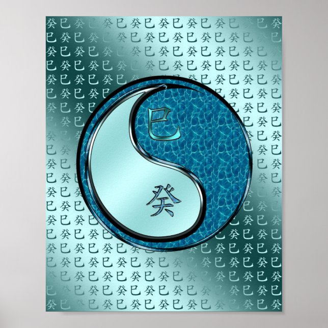 Year of the Water Snake Poster (Front)