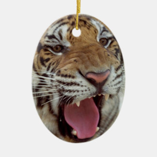 Year of Tiger Ornament