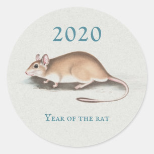 Year Rat 2020 Chinese New Year Vintage Mouse Blue Classic Round Sticker