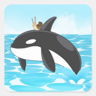 Yeehaw Orca Square Sticker