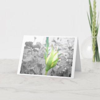 yelllow bud card