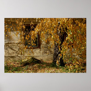 yelllow leaves poster