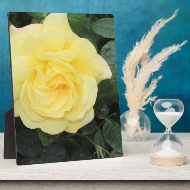 Yello Rose Plaque (Side)