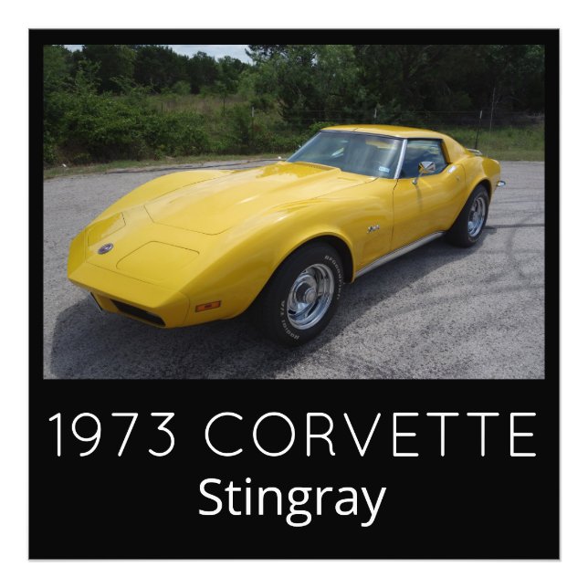 Yellow 1973 Corvette Stingray Photo Print (Front)