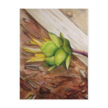 "Yellow 1"